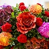 president. Danny's Flower